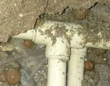 乌达测漏水多少钱