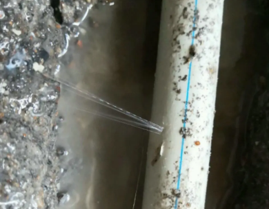 乌达测漏水哪家好