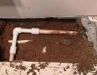 乌达测漏水哪家好