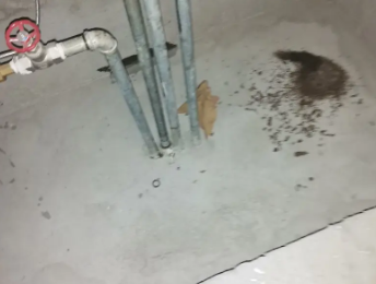 乌达卫生间测漏水价格明细