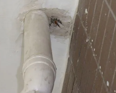 乌达漏水检测哪家好